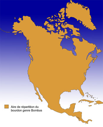 Répartition du bourdon du genre Bombus