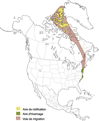 Répartition de la Grande Oie des neiges