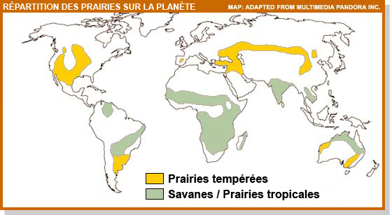 Répartition des prairies sur la planète