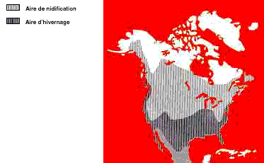 La répartition du Pluvier kildir