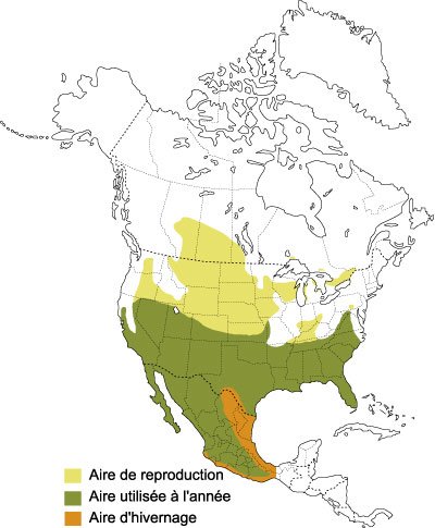 Répartition de la Pie-grièche migratrice