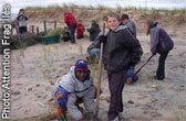 Restoring habitat of the piping plover