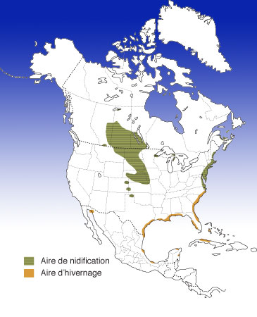 Répartition du Pluvier siffleur