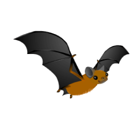 Hinterland's Hangout Bat