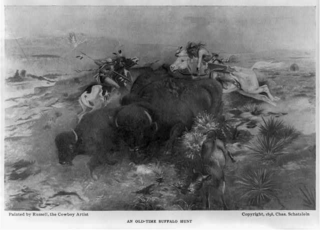 La chasse au bison