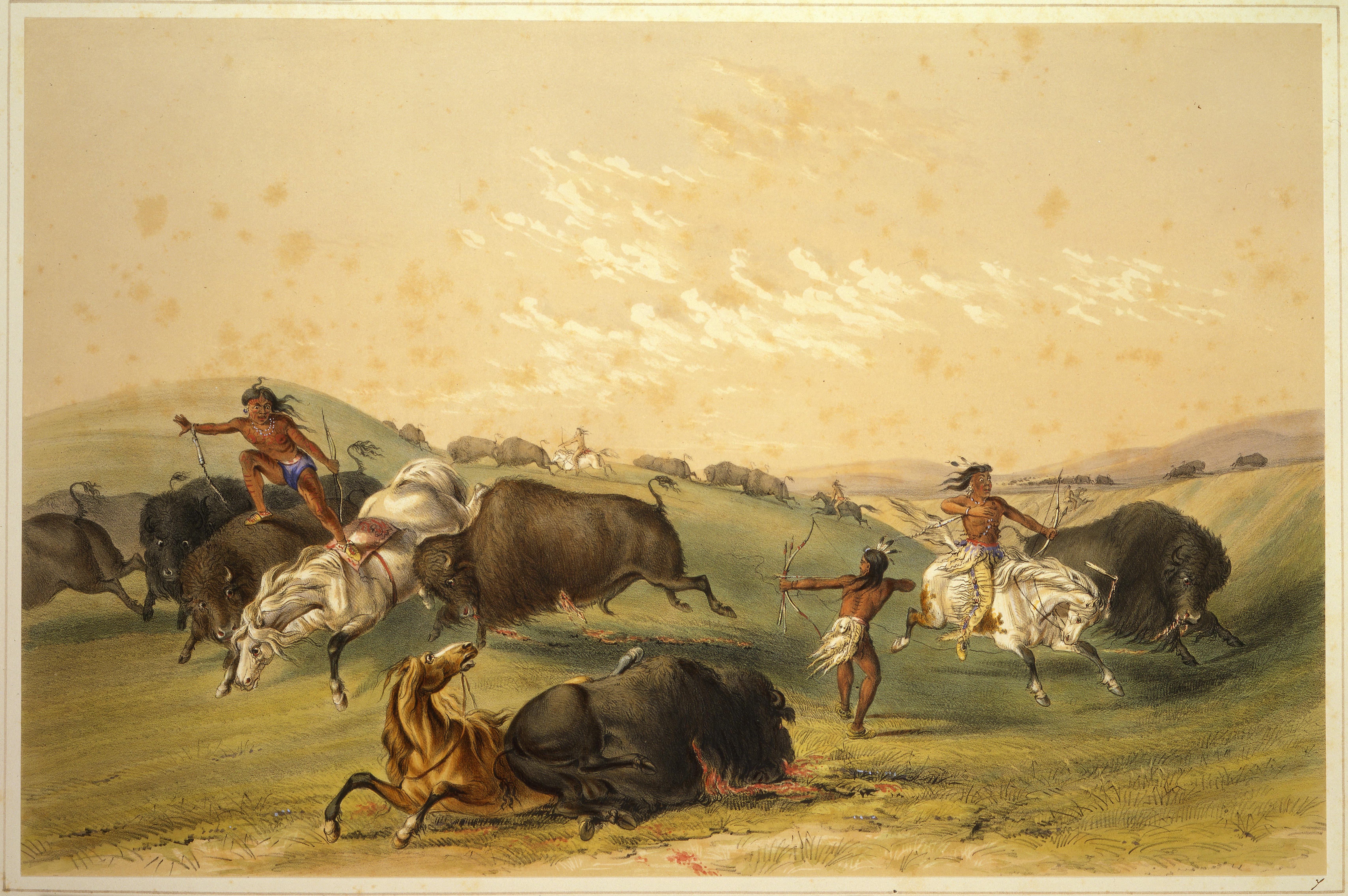 Indigenous people hunting bison