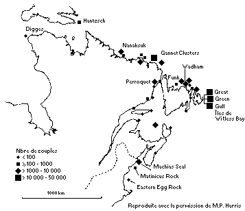 Colonies de Macareux moines dans l'est du Canada