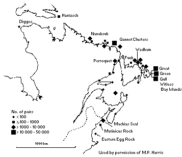  Atlantic Puffin colonies in eastern Canada