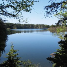 Amherst Point Migratory Bird Sanctuary