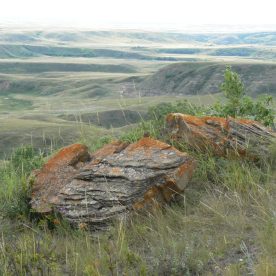 Badlands