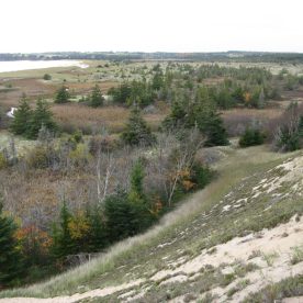 Black Pond Migratory Bird Sanctuary