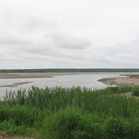 Glace Bay Migratory Bird Sanctuary