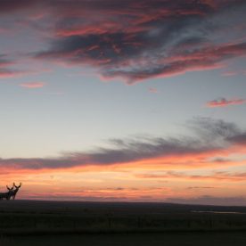 Grasslands NP