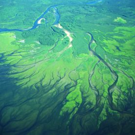 Nisutlin National Wildlife Area