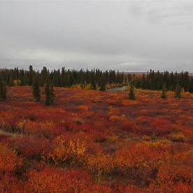 Southern Arctic