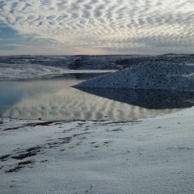 Winter in the Tundra