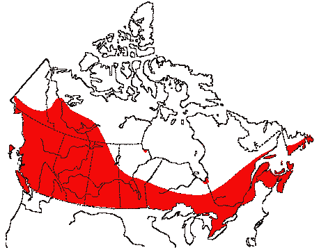  Distribution de l'Hirondelle rustique au Canada (carte par Torsten Bernhardt, site web Canadian Biodiversity)