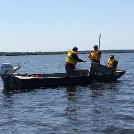 CWF scientists studying the American Eel