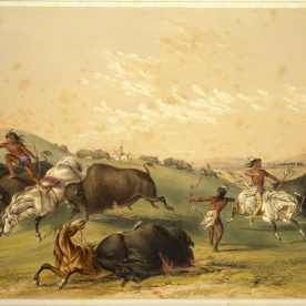Indigenous people hunting bison