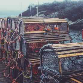 Lobster fishing harbour