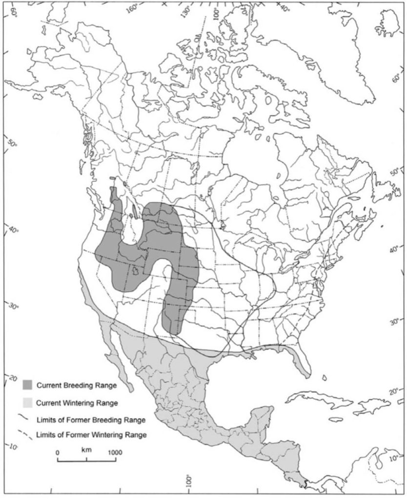 Map of breeding and wintering ranges for the Long-billed Curlew.