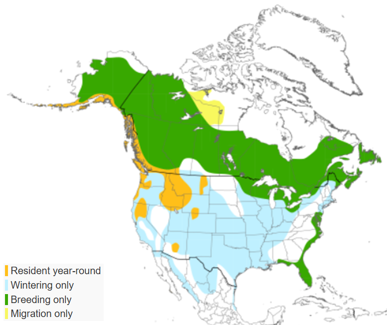 range of bald eagle